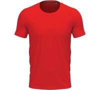 Stedman Stars Mens Clive Crew Neck Tee AB384