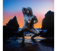 STEEL BEANS - Vinyl Record lp - F4z