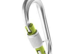 Steel climbing carabiner Edelrid HMS Bruce Screw FG II Argenté TU
