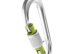 Steel climbing carabiner Edelrid HMS Bruce Screw FG II Silver One size