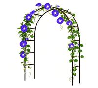Steel Garden Arch for Weddings & Parties - 1.40M to 3.0M Wide Iron Trellis for Climbing Plants - Decorative Metal Arbor for Morning Glory & Wisteria (Black, 0.8m x 2.0m)