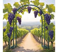 Steel Garden Arch, Rose Trellis for Climbing Plants, Wisteria Support, Sturdy Metal for Ln, Wedding Par Det, Available in 140-280cm (Green, W3.50 x H2.20m)