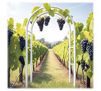 Steel Garden Arch Trellis for Climbing Plants 4.6ft to 7.9ft Metal Wedding Arbor Indoor/Outdoor Pergola for Ceremony & Party Decoration (White W9.2 x H8.2ft)