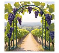 Steel Garden Arch TrellisMetal Arbor for Climbing Plants & Grapevines 4.6ft 6.5ft 7.9ftOutdoor/Indoor Pergola for Weddings & Parties Green W9.8 x H7.2ft