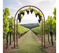 Steel Garden Arch TrellisMetal Arbor for Climbing Plants Wedding Ceremony & Party Decoration Indoor/Outdoor Pergola Bronze Finish 0.8m x 2.0m Ideal for Grapevines & Vegetables