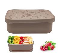 Steel Lunch Box, Stainless Steel Lunch Box | 850ml Salad Container with Double Compartments - Stainless Steel Box with Silicone Lid and Protective Lid, Crazy