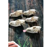 STEELEYE SPAN - Steeleye Span Individually And Collectively LP Charisma CS5 EX/EX 1972 sleeve has Charisma Perspective sticker on front