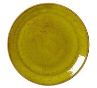 Steelite Craft Apple Plate Coupe 28cm / 11inch, Pack of 12