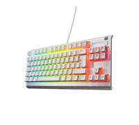 SteelSeries Apex 3 TKL - Gaming Keyboard - Tenkeyless Compact Form Factor - Silent Gaming Keyboard - 8-Zone RGB Illumination - IP32 Water & Dust Resi