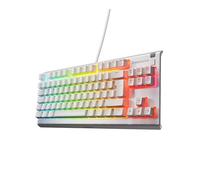 SteelSeries Apex 3 TKL - Gaming Keyboard - Tenkeyless Compact Form Factor - Silent Gaming Keyboard - 8-Zone RGB Illumination - IP32 Water & Dust Resistant - French AZERTY Layout, White