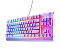 SteelSeries Apex 3 TKL - Gaming Keyboard - Tenkeyless Compact Form Factor - Silent Gaming Keyboard - 8-Zone RGB Illumination - IP32 Water & Dust Resi