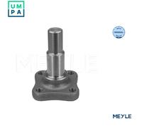 Meyle Wheel Suspension Steering Knuckle Rear Both Sides Fits Dacia Renault