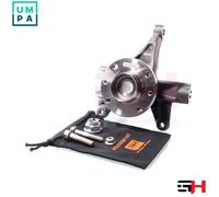 1x Complete Left Steering Knuckle for Renault MEGANE II 1.9 /2.0 DCI, 2.0T