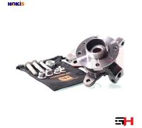 1x Complete Left Steering Knuckle for Renault CLIO II (BB0/1/2, CB0/1/2)