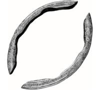Steering Wheel Cover For A6 S6 For Sedan For Avant 4A 4B 4F 4G For C4 For C5 C6 C7 C8 Segmented Anti-Skid Steering Wheel Cover 2 Pieces(C)