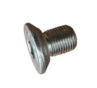 Steering Wheel Fixing Screw for Mercedes A1269900312 Metal