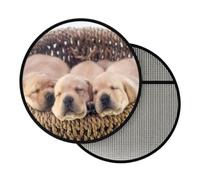 Steering Wheel SunShade, Labradors Little Puppies Golden Retriever | 17.7 Inch Foldable Sun Shade Cover for Car Steering Wheel, Heat Thermal Insulation Cooling Protector for Cars SUV Truck Van