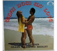 Stef Meeder - Gemini - GM 2011: What now my Love: Stef Meeder: Vinyl LP