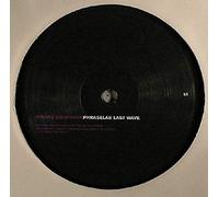 Stefan Goldmann - Blood [12" VINYL]