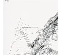 Stefan Goldmann - Vector Rituals [VINYL]