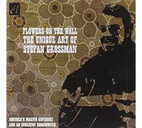 Stefan Grossman - Flowers On The Wall