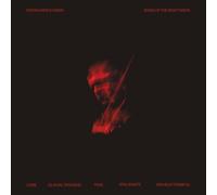 Stefan Wesolowski - Stefan Wesolowski: Song Of The Night Mists [VINYL]