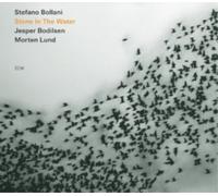 Stefano Bollani Trio - Stone In The Water