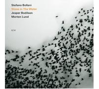 Stefano Bollani TRIO - Stone In The Water