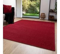 Steffensmeier Short Pile Rug Ibiza Durable, Easy-care, Modern Living Room Rug Red, Size: 40x60 cm (1'4"x2')