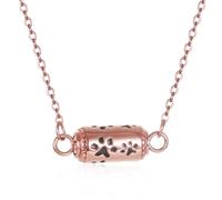 STEFWD Pet Cremation Jewelry Stainless Steel Paw Print Tube Urn Necklace For Cat Dog Ashes Necklace For Women Keepsake With Filling Kits, M, Stainless Steel, No Gemstone