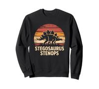 Stegosaurus Stenops Retro Sunset Vintage Dinosaur Sweatshirt