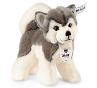 Steiff 17cm Bernie Husky