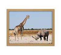 Steiglitz Black Rhinoceros Giraffe Etosha Namibia Photo Artwork Framed Wall Art Print 18X24 Inch