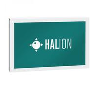 Steinberg HALion 7 - Boxed Copy