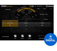 Steinberg Iconica Ensembles (Digital product)