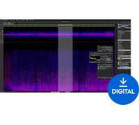 Steinberg SpectraLayers Elements 12 Full Version (Digital product)