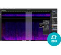 Steinberg SpectraLayers Pro 12 Education (Digital product)