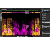 Steinberg SpectraLayers Pro 13