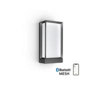 Steinel Led Outdoor Wall Light L 42 C, Dimmable, Settings Via App