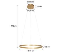 Steinhauer Ringlux LED pendant light Ø 60 cm 2-bulb gold