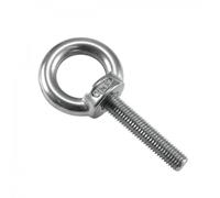 Steinigke Eye Bolt M10/50mm Stainless Steel