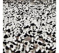 Stella Donnelly - Flood [VINYL]