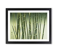 Stellar Bamboo Forest Framed Print | A2 Black Framed Wall Art | Ready to Hang | Modern Landscape Picture | Living Room Bedroom Lounge Office
