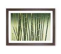 Stellar Bamboo Forest Framed Print | A2 Walnut Framed Wall Art | Ready to Hang | Modern Landscape Picture | Living Room Bedroom Lounge Office
