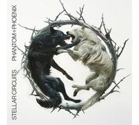 Stellar Circuits Phantom:: Phoenix LP multicolor Onesize