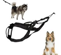 Stellar Fung Hwa Dog Pulling Harness Nylon with Reflective Strip, Waterproof Sled Harness for Dogs, Pulling Harness for Dog Exercises, Mountain Bike, Ski Joring, Dog Pulling Harness