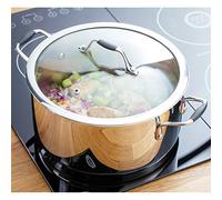 Stellar James Martin Stainless Steel 24cm 5L Casserole with Vented Glass Lid, Twin Handles, Induction Ready, Dishwasher Safe - Fully Guaranteed