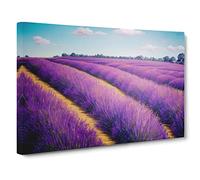 Stellar Lavender Flower Field Canvas Print | Gallery Wrapped 30mm Frame Wall Art | 30x20 inches | Ready to Hang | Contemporary Floral Picture | Living Room Bedroom Lounge Office