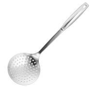 Stellar Stainless Steel Skimmer