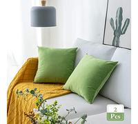 Stellhome Soft Velvet Throw Pillow Covers Square Decorative Cushion Covers for Bed Couch Sofa Bench, 18 x 18 inch (45 x 45 cm), Apple Green, Pack of 2